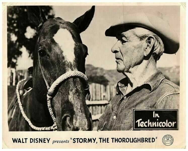 Stormy The Thoroughbred Original Lobby Card Walt Disney M.r. Valdez With Horse