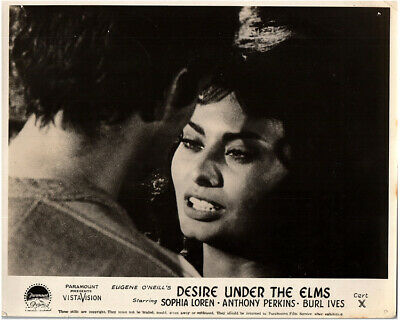 Desire Under The Elms Original Lobby Card Sophia Loren Sexy Portrait